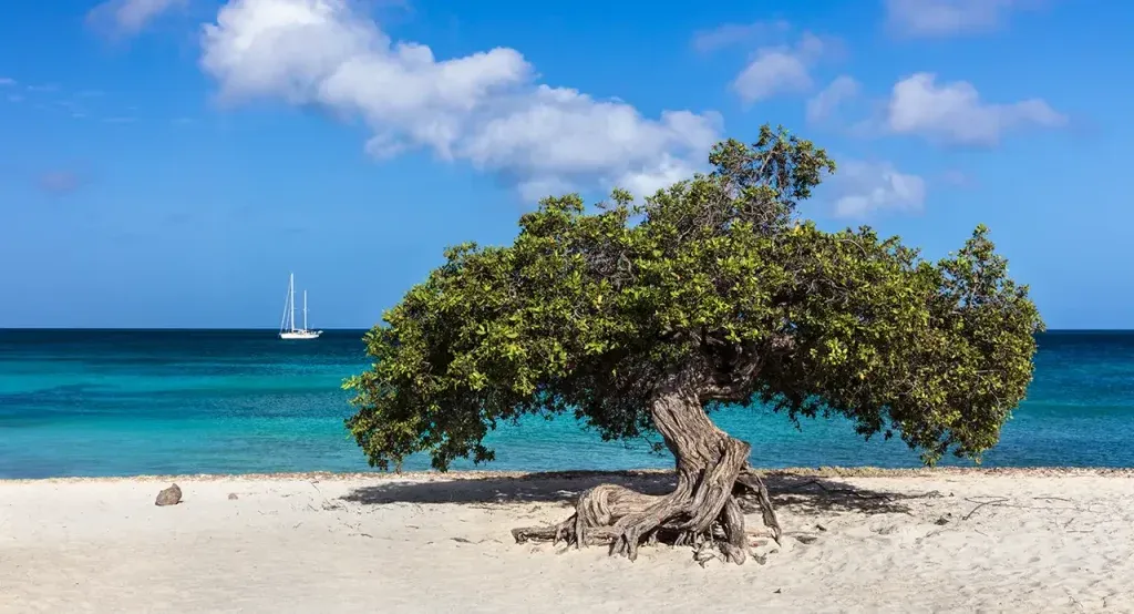 10 best Caribbean islands to visit